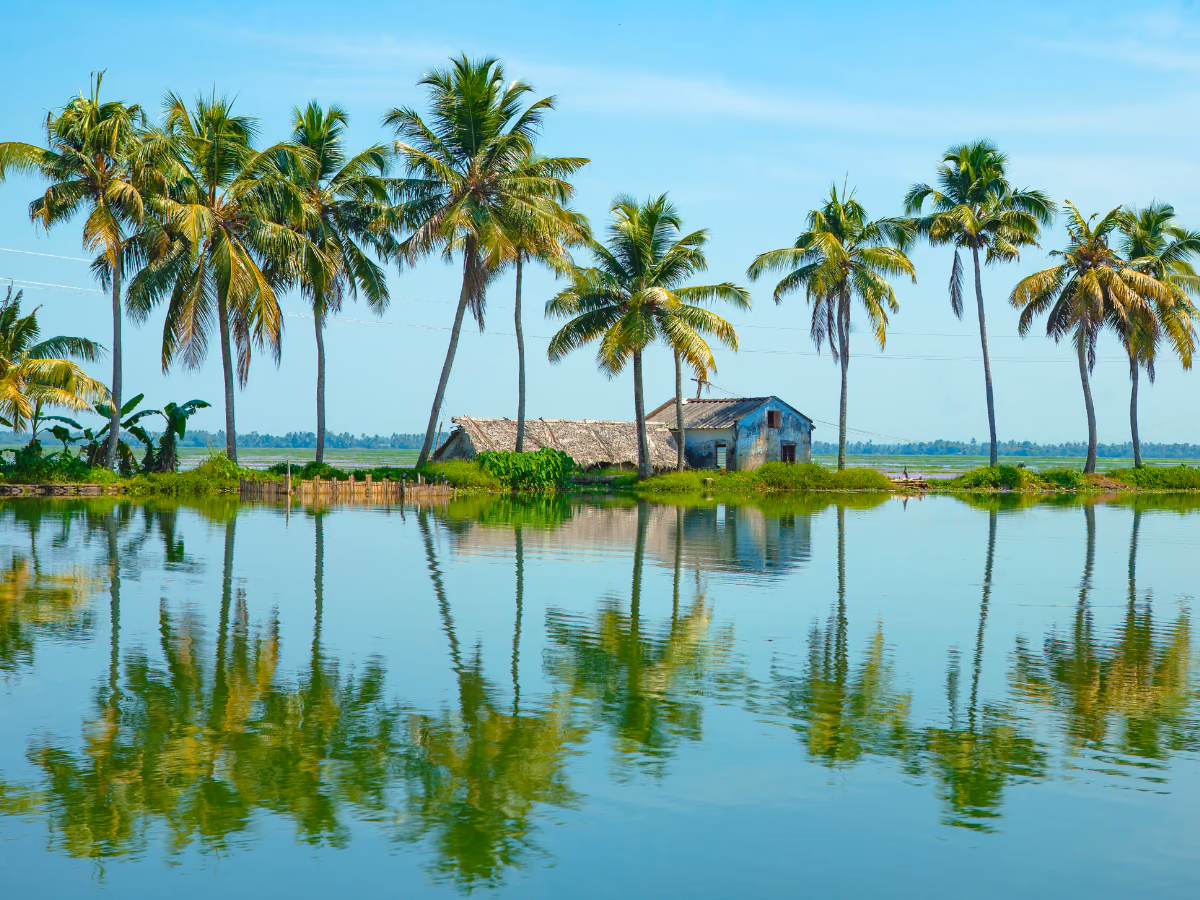 Scena di viaggio a Thekkady a Kumarakom, tra paesaggio locale e atmosfera del luogo.