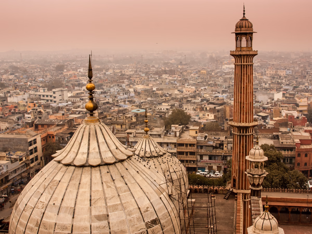 Scena di viaggio a Delhi, tra paesaggio locale e atmosfera del luogo.