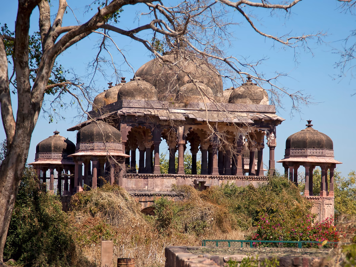 Scena di viaggio a Ranthambore a Jaipur, tra paesaggio locale e atmosfera del luogo.