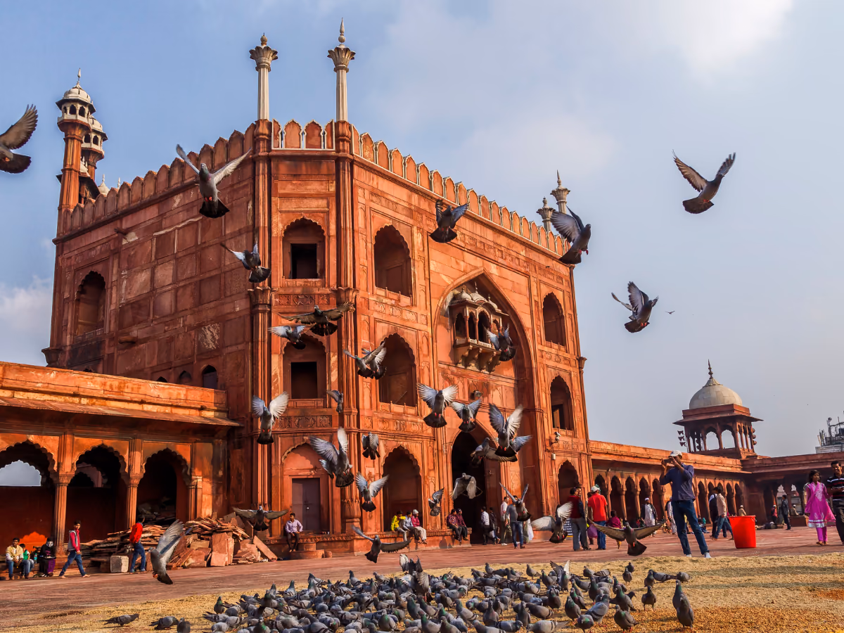 A calm Delhi morning lane with historic architectural detail.