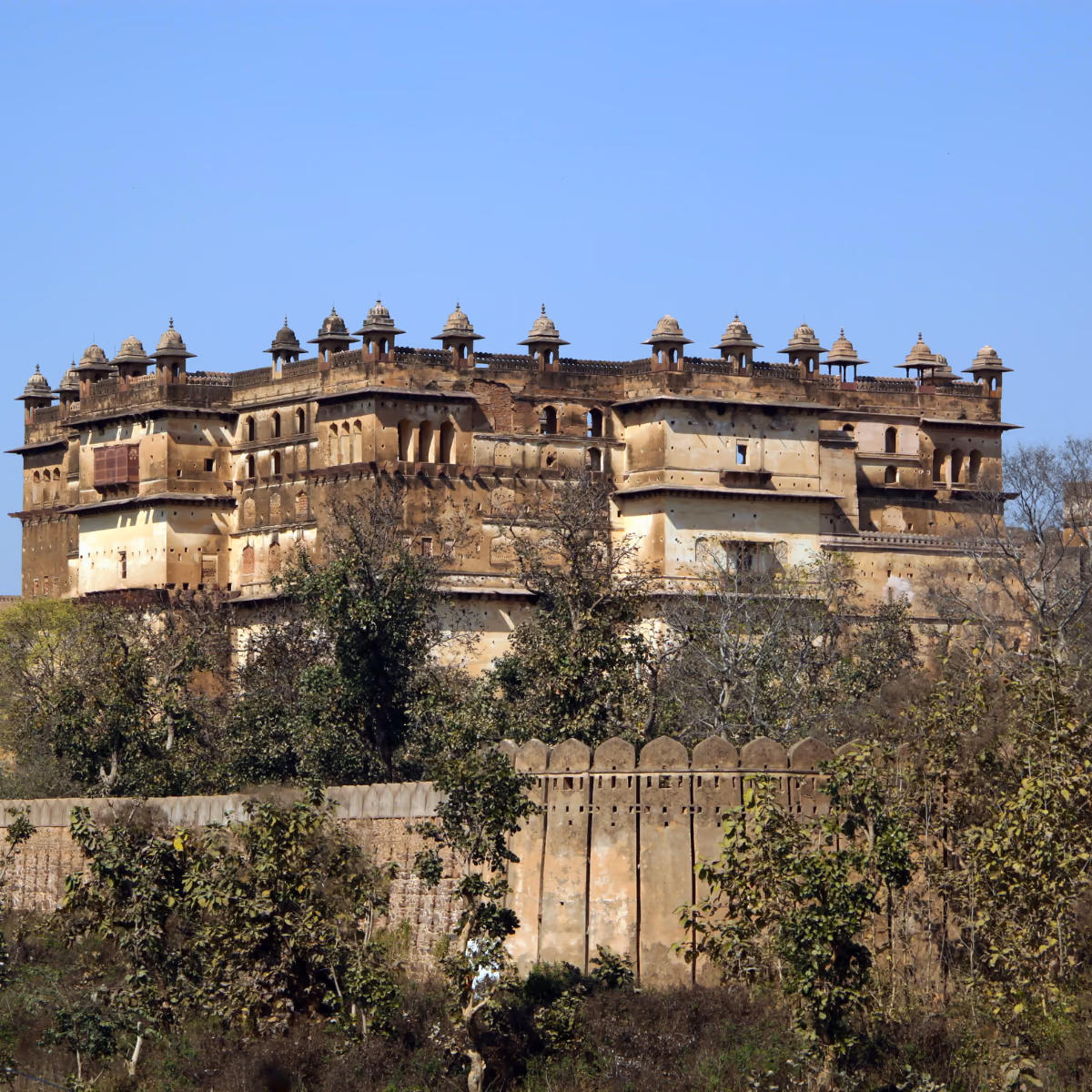 Orchha's historic palace complex above the Betwa River landscape.