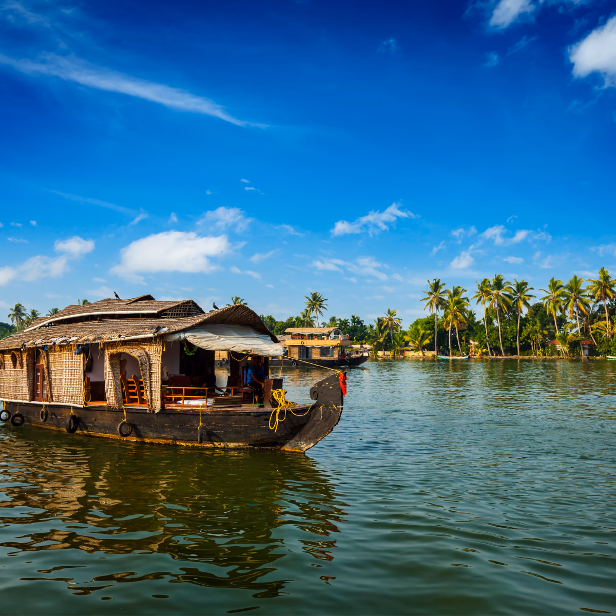Scena di viaggio a Una tradizionale houseboat moving attraverso Kerala's palm-fringed backwaters., tra paesaggio locale e atmosfera del luogo.