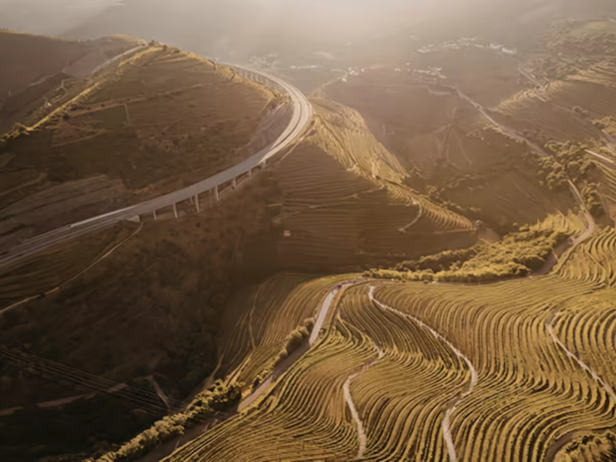 A road descending through terraced hills toward Chitwan's Terai.