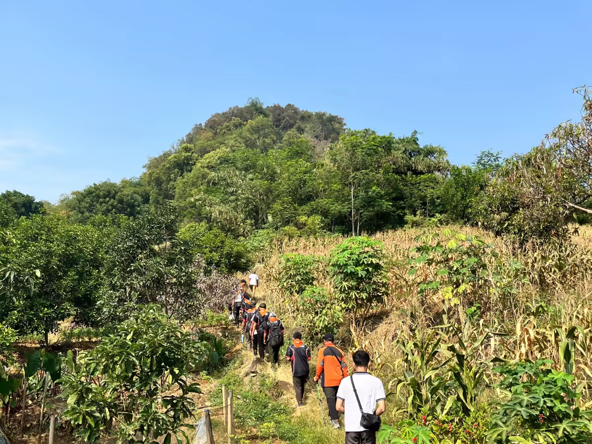 A green hillside path opening across Pokhara's layered valley.