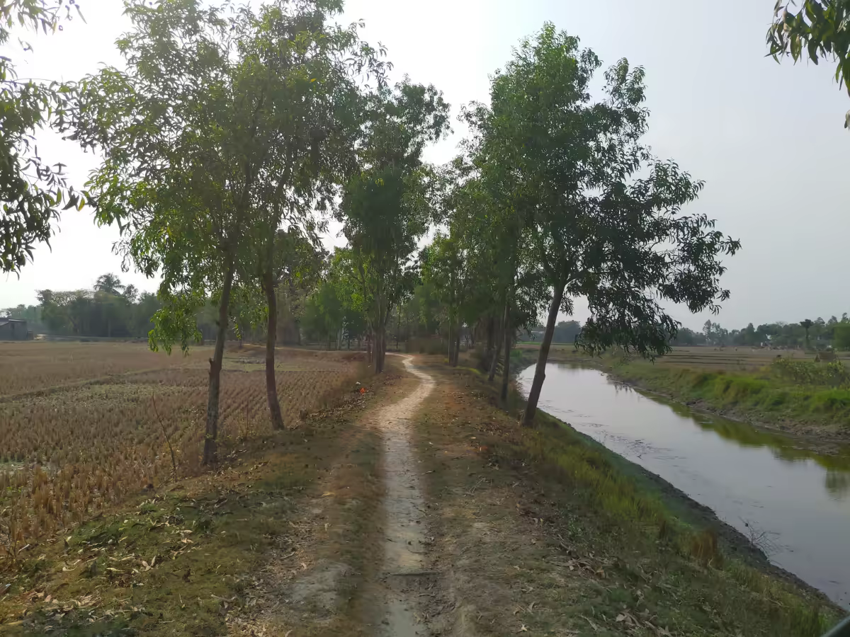 A quiet village path in Nepal's Terai near Chitwan.