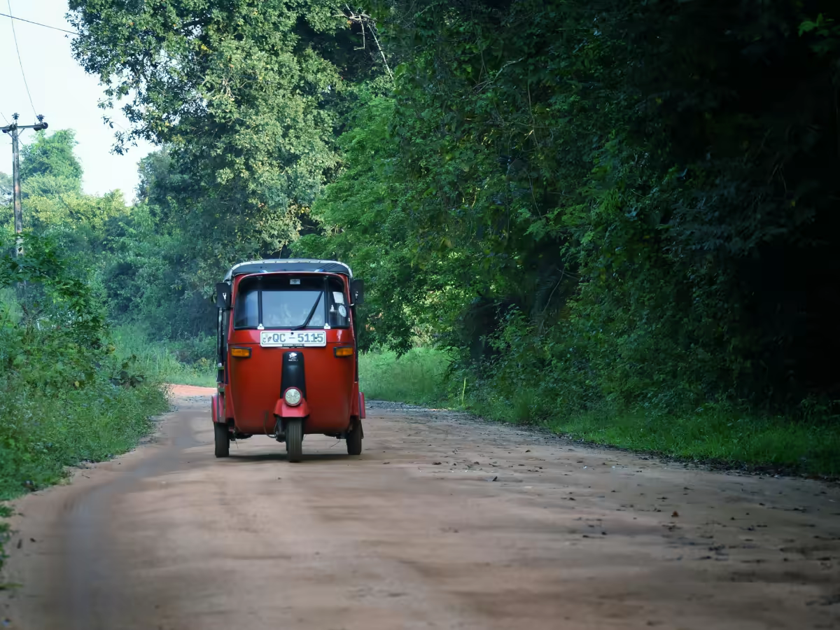 A road through Sri Lanka's dry zone opening toward the east coast.