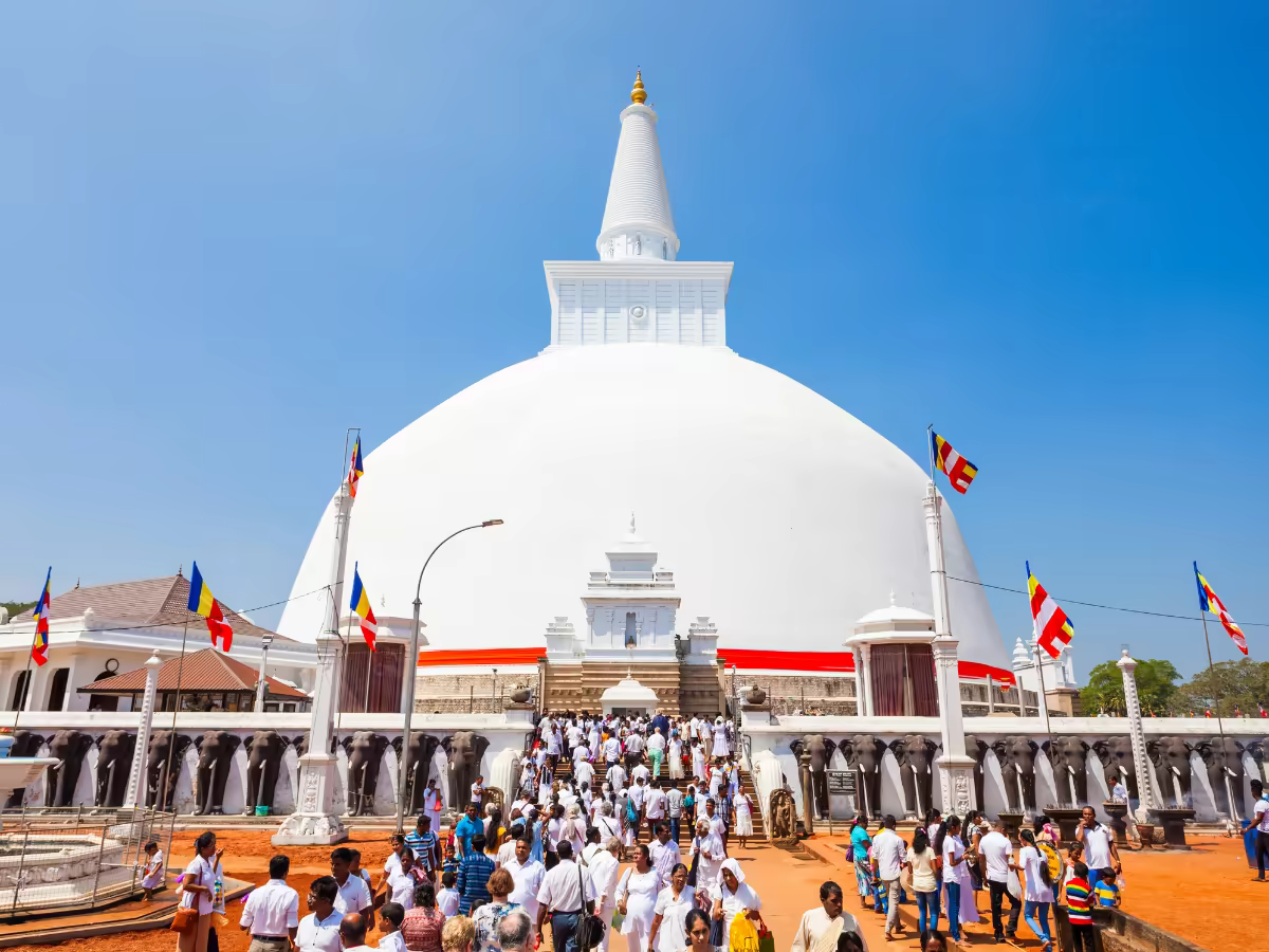 An ancient stupa rising above palms in Anuradhapura.