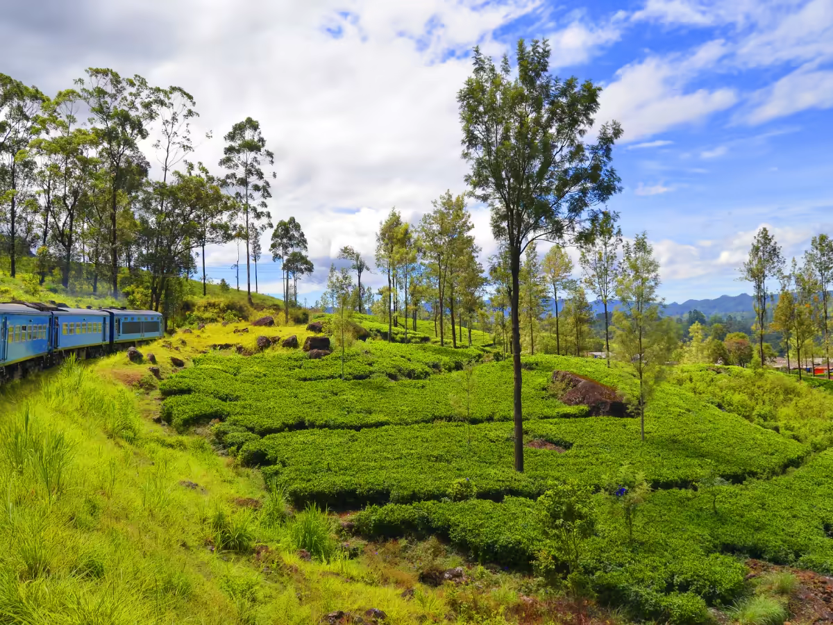 A railway line winding through Ella's green mountain ridges.