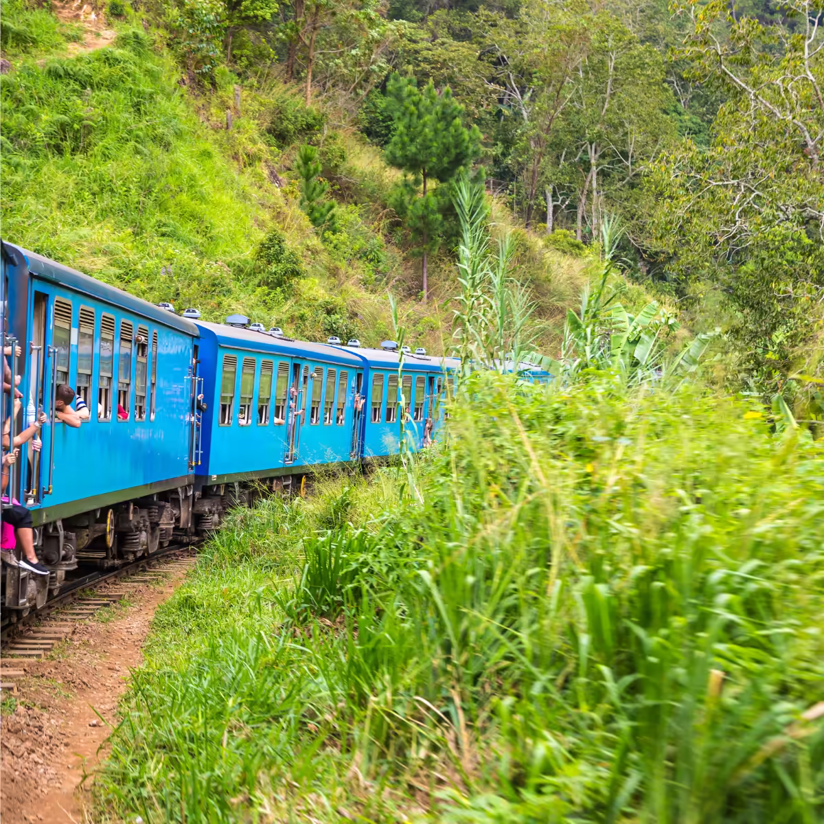 A blue train crossing Sri Lanka's misty tea-country hills.