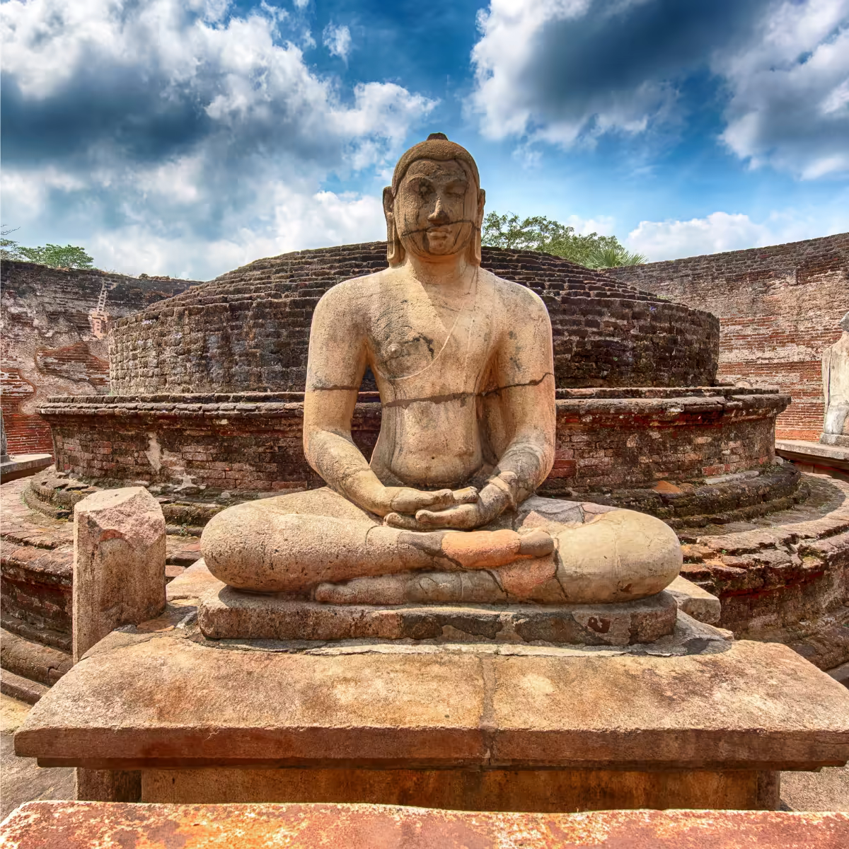 A weathered stone Buddha surrounded by palms in Polonnaruwa.