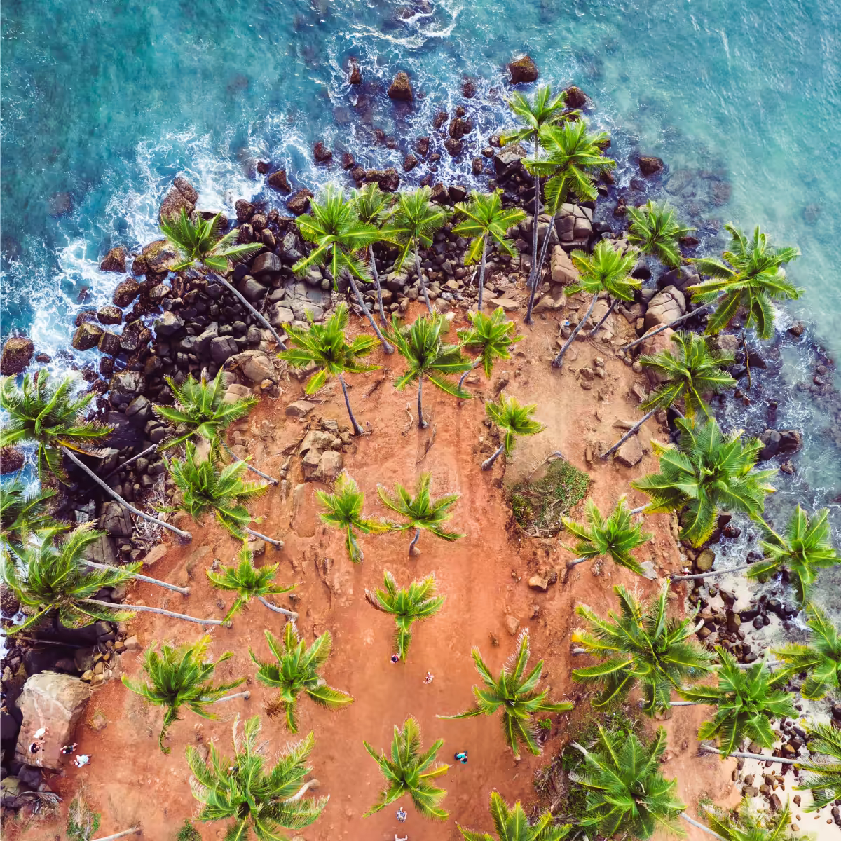 Mirissa's quiet beach and coconut-fringed southern coastline.